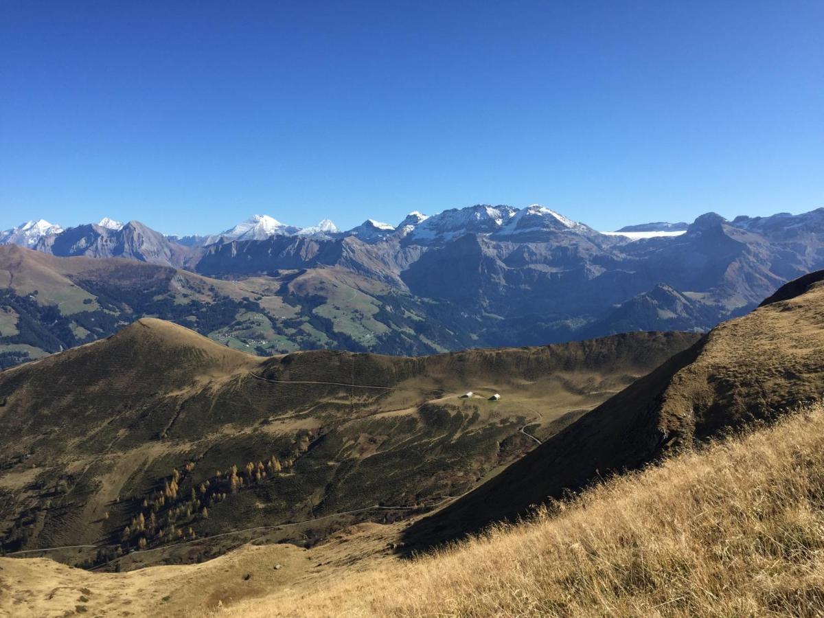 Bundb-Wyssen-Matten Matten  Exteriör bild